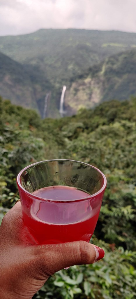 The view with our Kokum drink